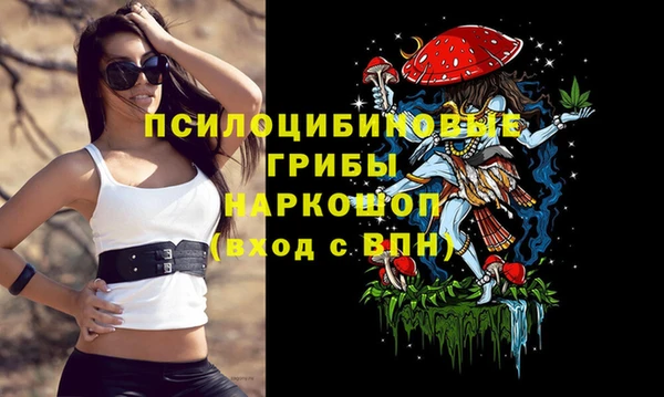 сатива Абаза